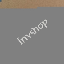 PVI Industrial Screen New and Original PA064DS5