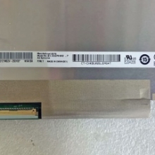 B133ZAN02.7 AUO 13.3