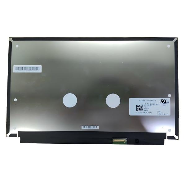 M133NVF3 R2 IVO 13.3