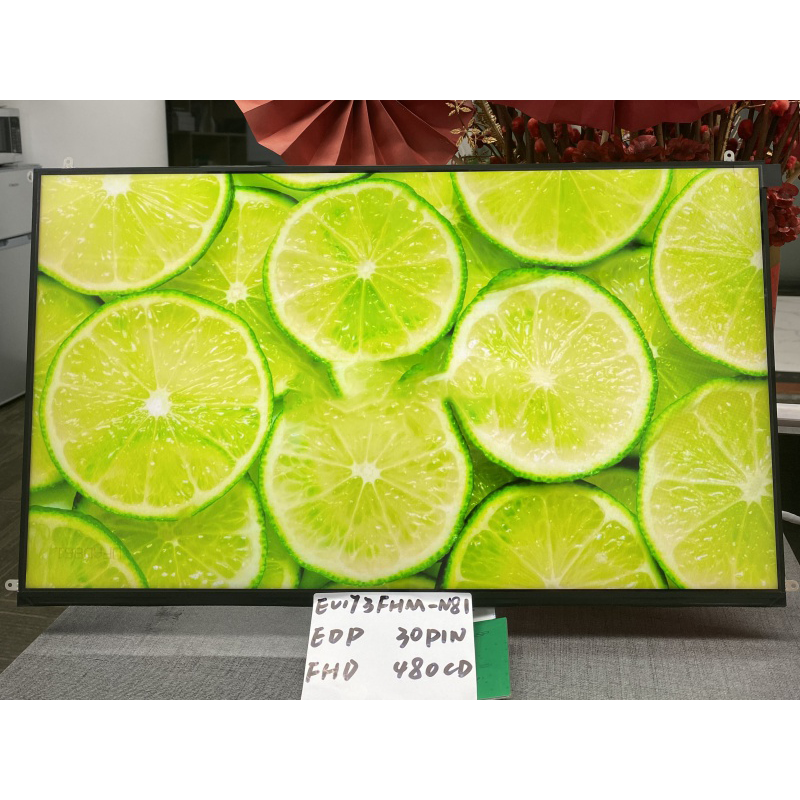 EV173FHM-N81  BOE  17.3inch 1920×1080 LCD DISPLAY