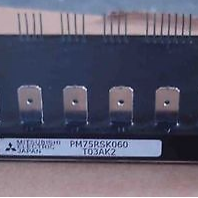 IPM PM75RSK060