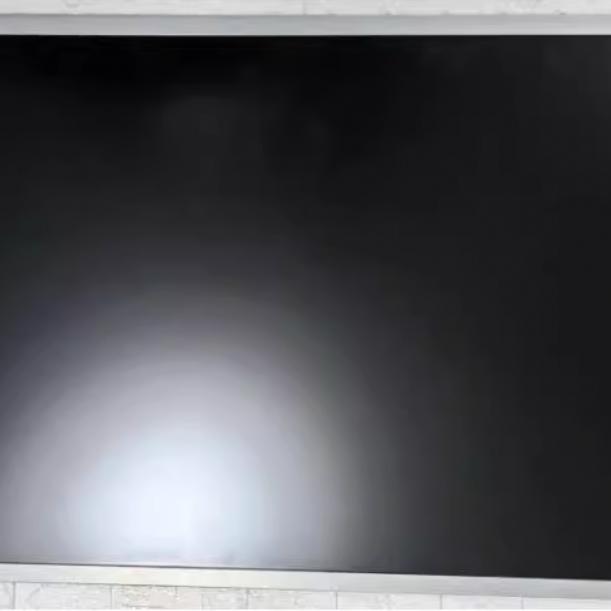 M240HVN02.1 24 Zoll AUO LCD PANEL