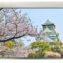 TCG057VGLCAANN-GN20 Kyocera 5.7