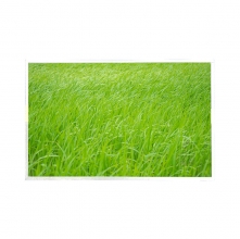 G156HAB02.5 AUO 15.6
