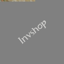 TS2640N141E172 TAMAGAWA encoder New and Original