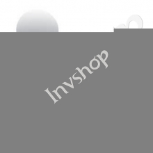 Simens PLC 6ES7231-7PD22-0XA8